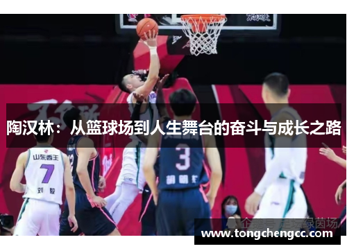 陶汉林：从篮球场到人生舞台的奋斗与成长之路