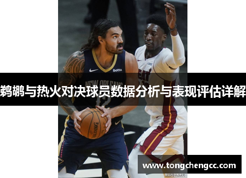 鹈鹕与热火对决球员数据分析与表现评估详解